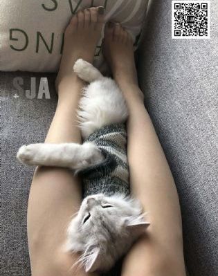 我的朋友在线观看_BD韩语影视在线观看